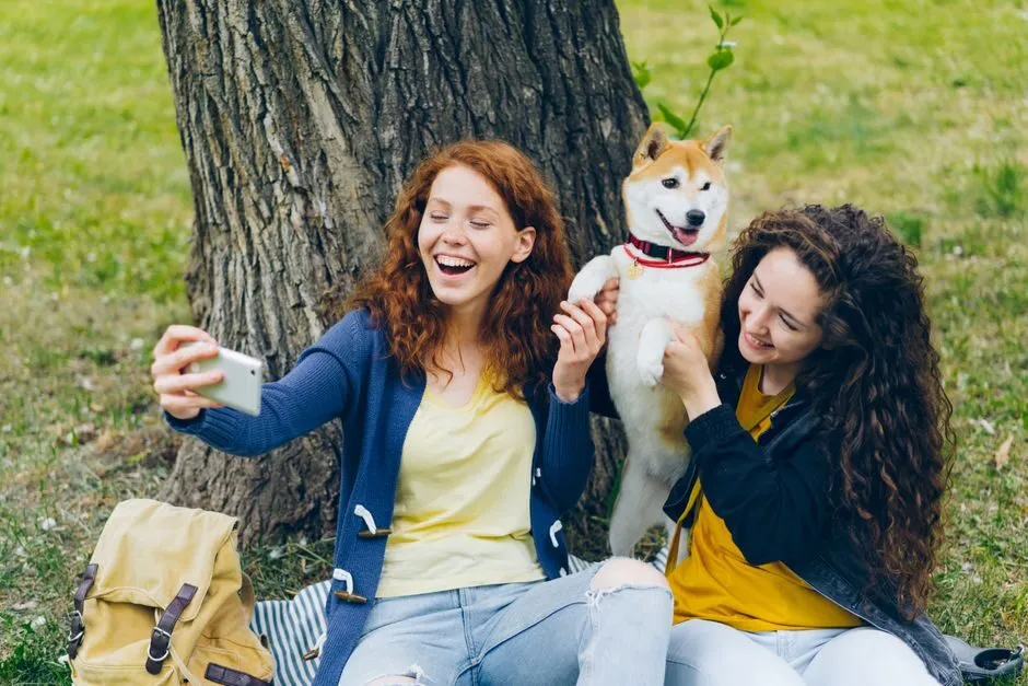 Ảnh selfie hài hước cùng chó
